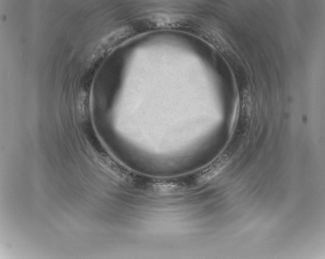 X0000060750650200511241704