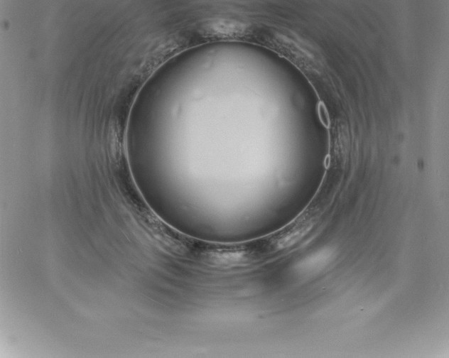 X0000060750651200511241704