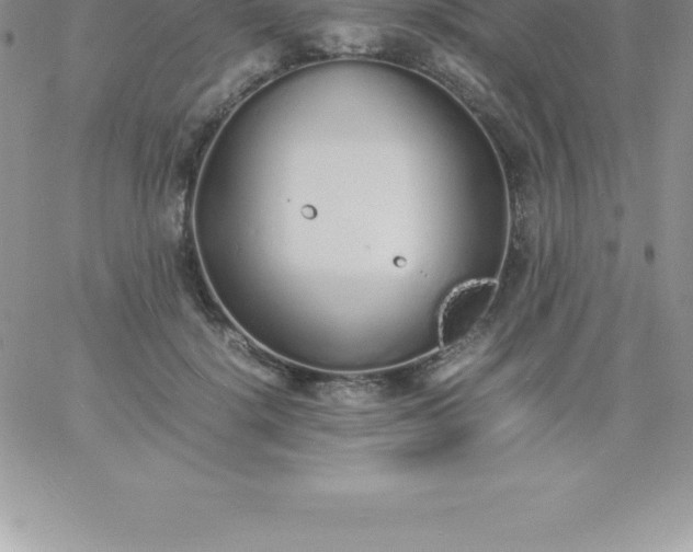 X0000060750652200511241704