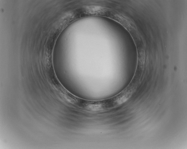 X0000060750653200511241704