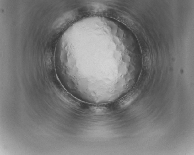 X0000060750654200511241704