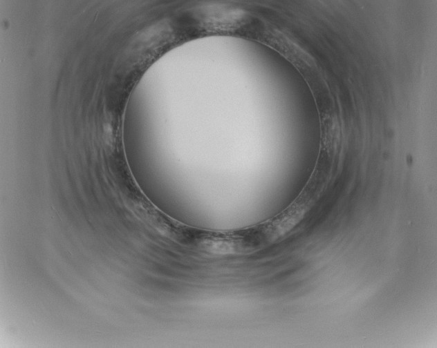 X0000060750655200511241704