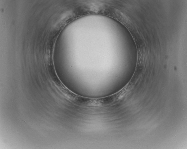 X0000060750656200511241704