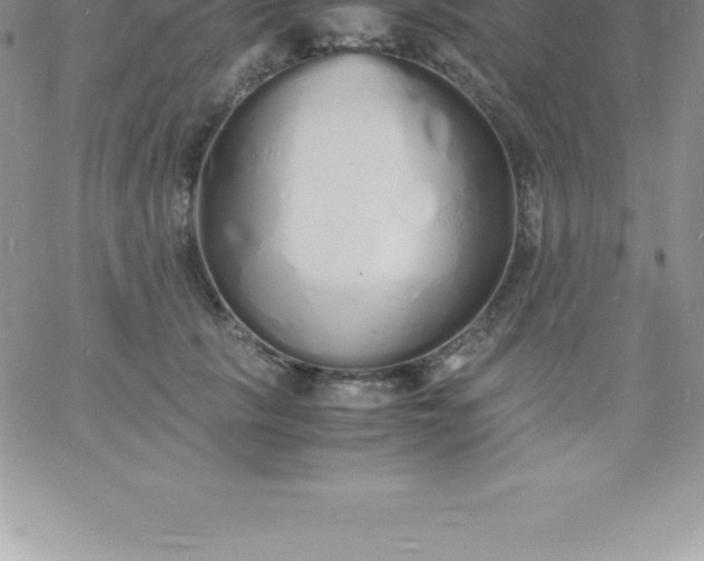 X0000060750657200511241704