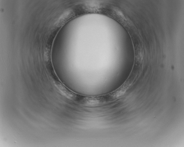 X0000060750658200511241704