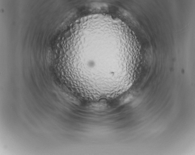 X0000060750659200511241704