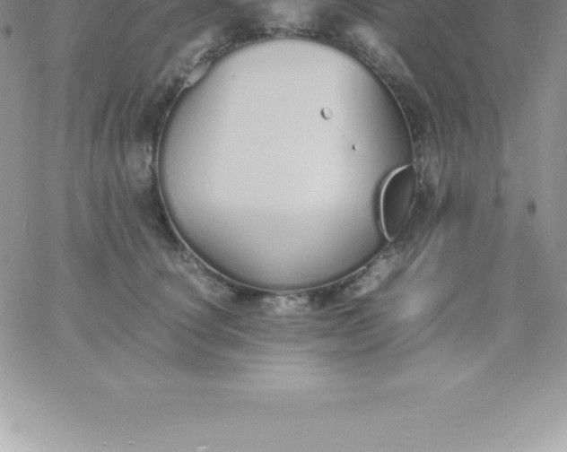 X0000060750660200511241704