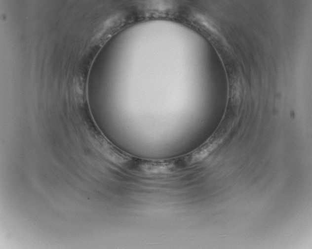 X0000060750661200511241704