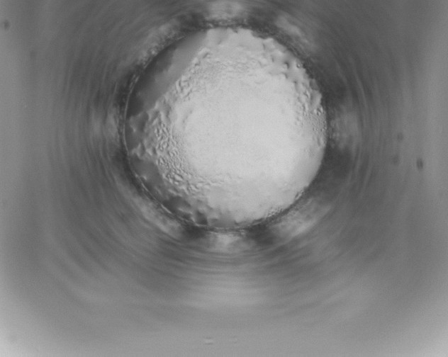 X0000060750662200511241704