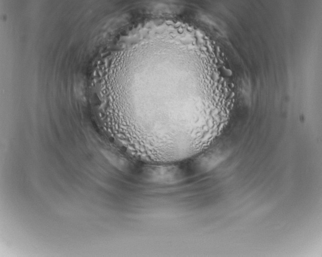 X0000060750663200511241704