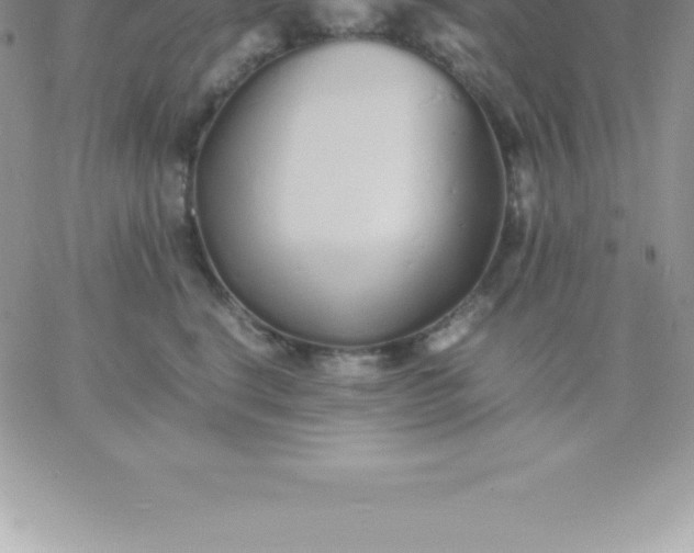 X0000060750664200511241704