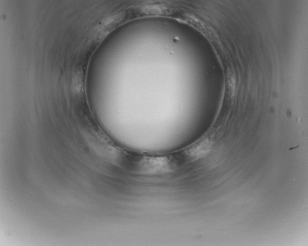 X0000060750665200511241704