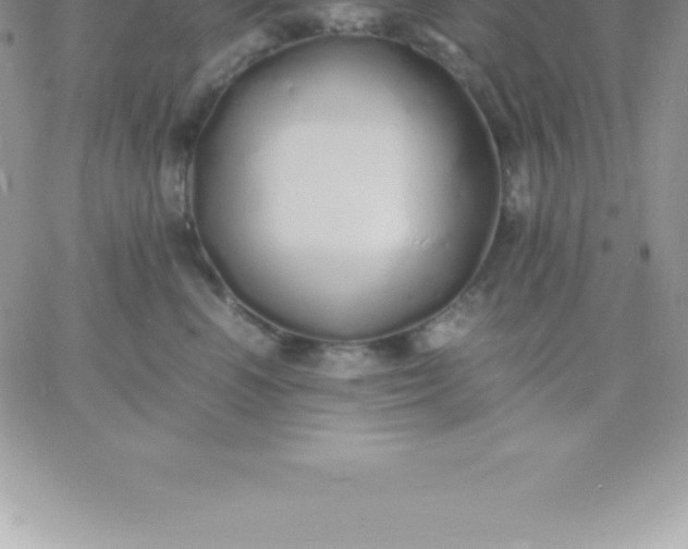 X0000060750666200511241704