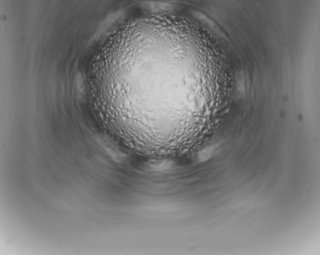 X0000060750667200511241704