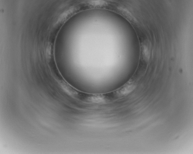 X0000060750668200511241704