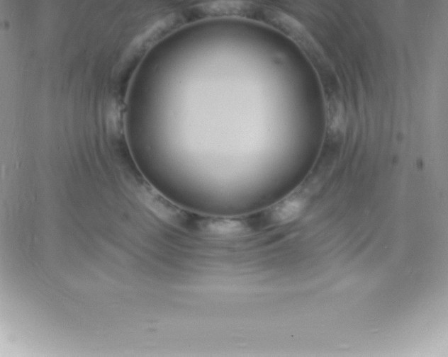 X0000060750669200511241704