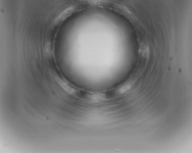 X0000060750670200511241704