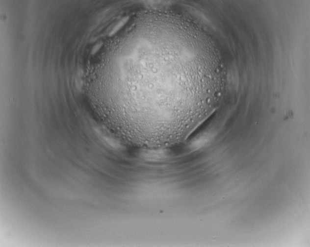 X0000060750671200511241704