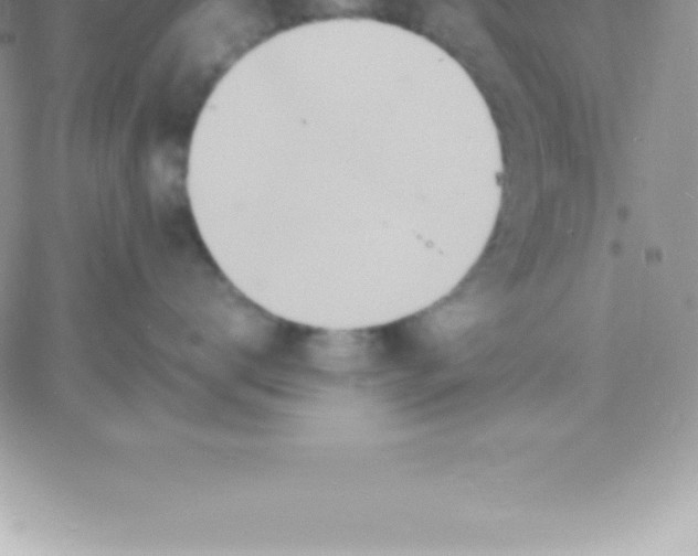 X0000060750672200511241704