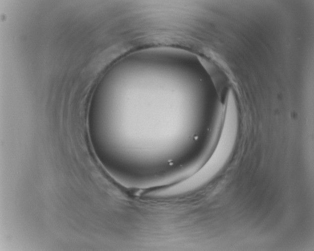 X0000060750673200511241704