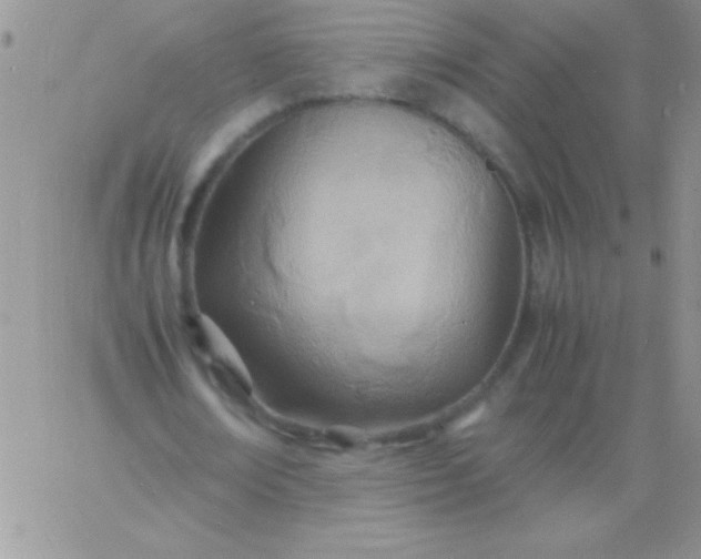 X0000060750674200511241704