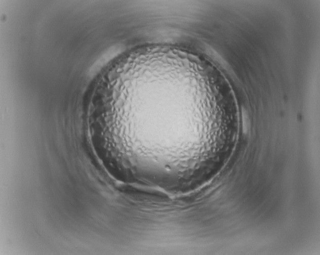 X0000060750675200511241704