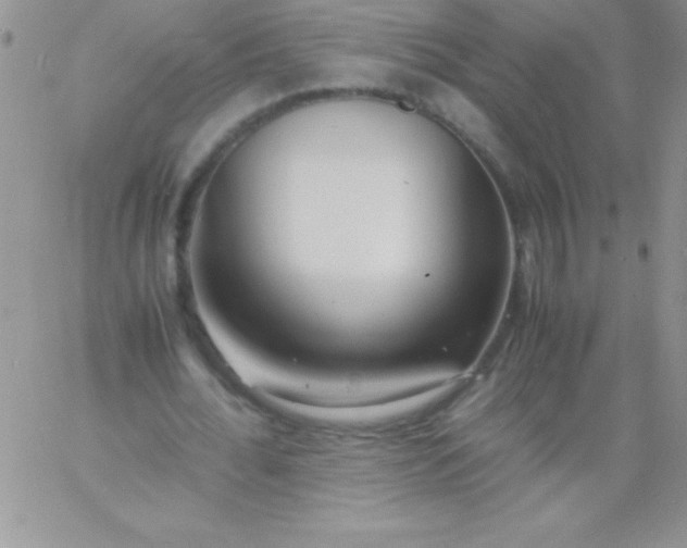 X0000060750676200511241704