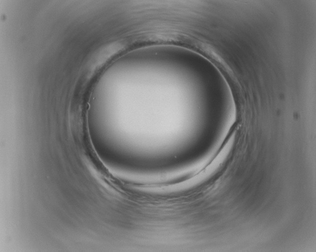 X0000060750677200511241704