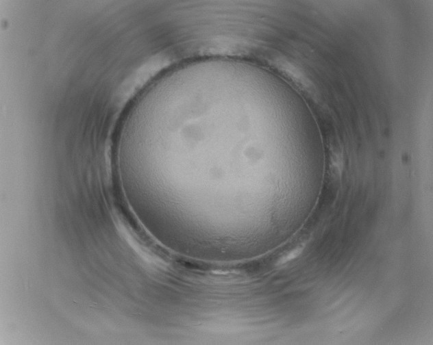 X0000060750678200511241704