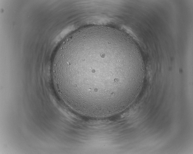 X0000060750679200511241704