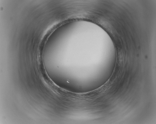 X0000060750680200511241704