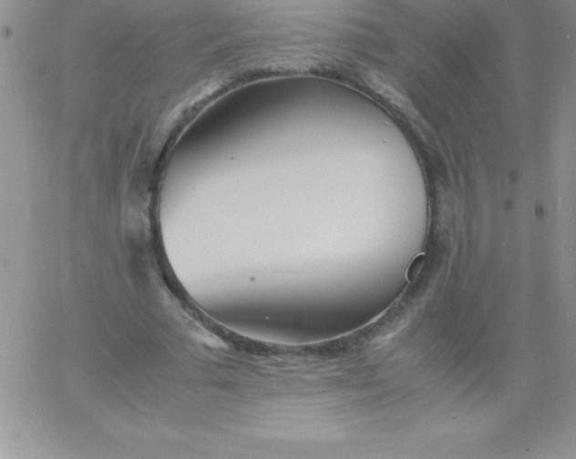 X0000060750681200511241704