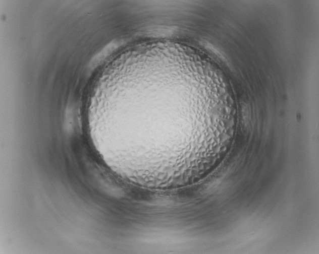 X0000060750682200511241704