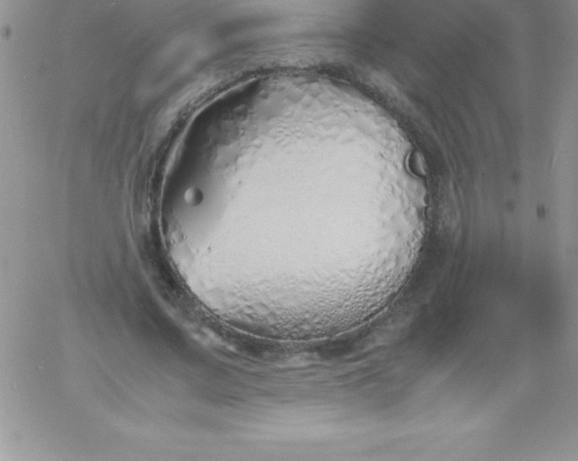 X0000060750683200511241704