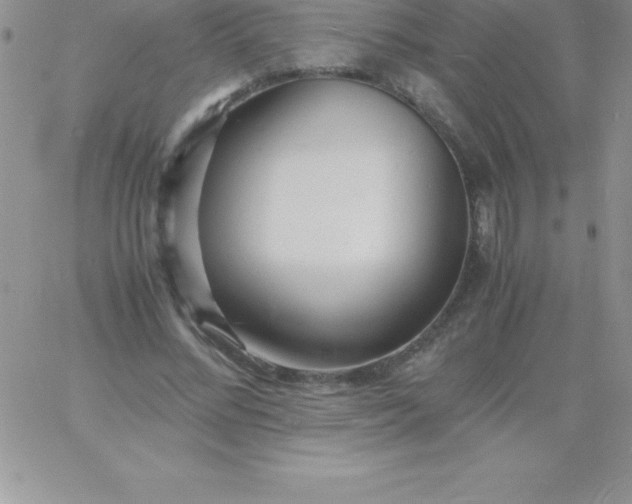 X0000060750684200511241703