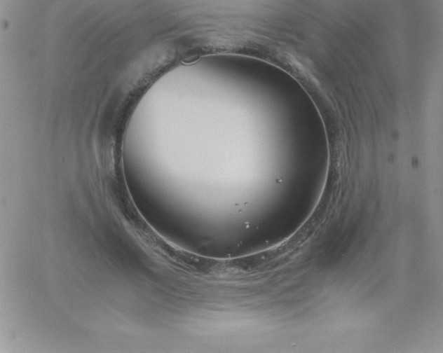 X0000060750685200511241703