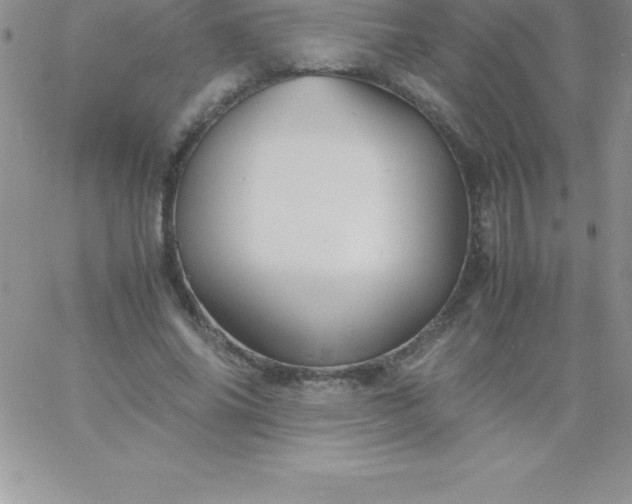 X0000060750686200511241703