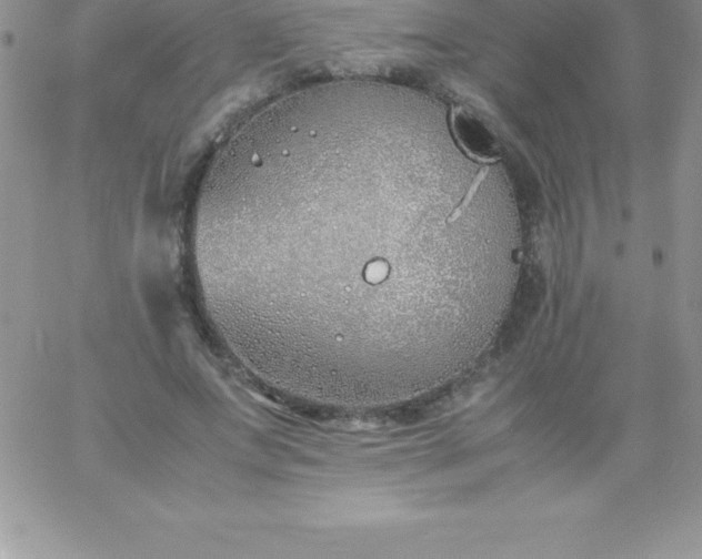 X0000060750687200511241703