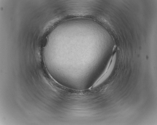 X0000060750688200511241703