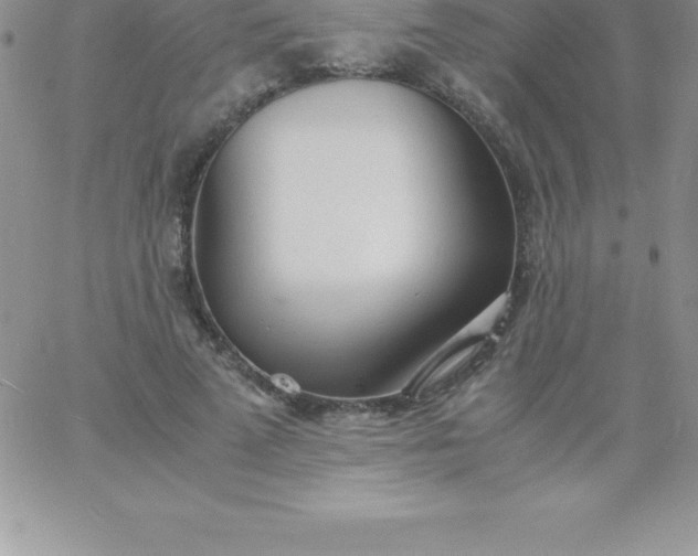 X0000060750689200511241703