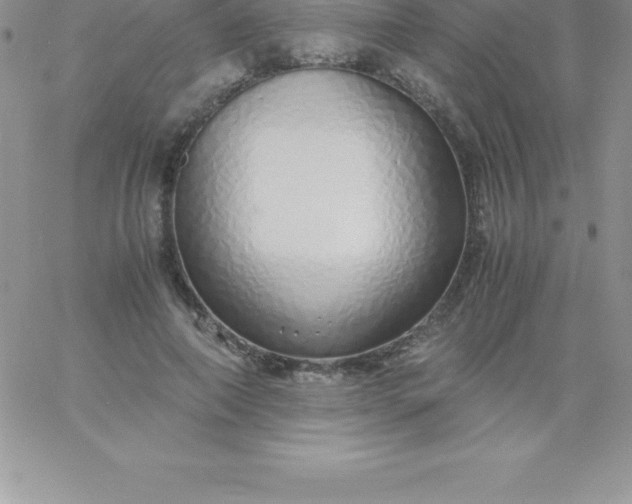 X0000060750690200511241703