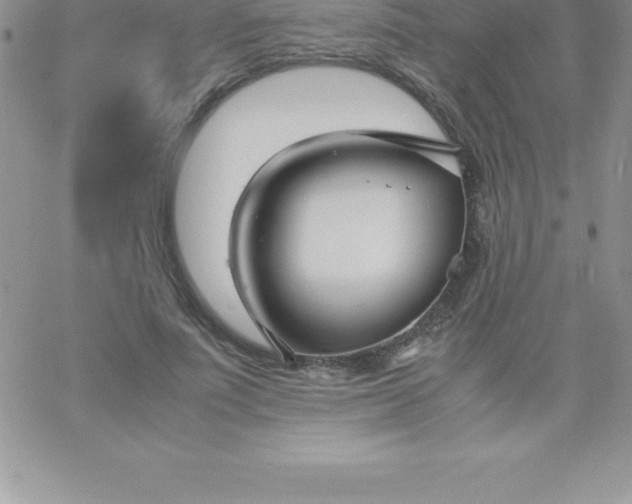 X0000060750691200511241703