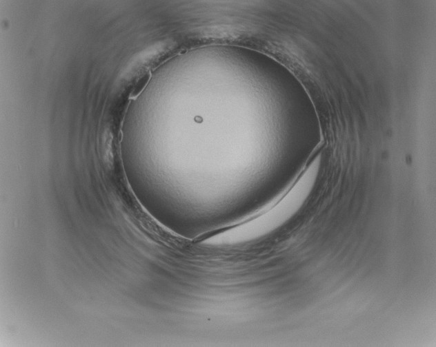 X0000060750692200511241703