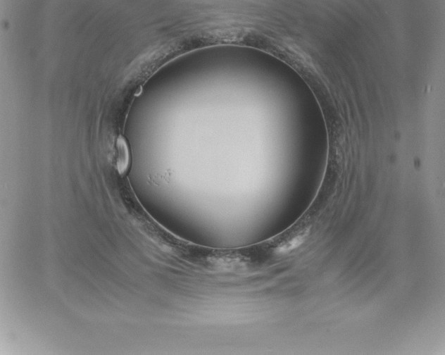 X0000060750693200511241703