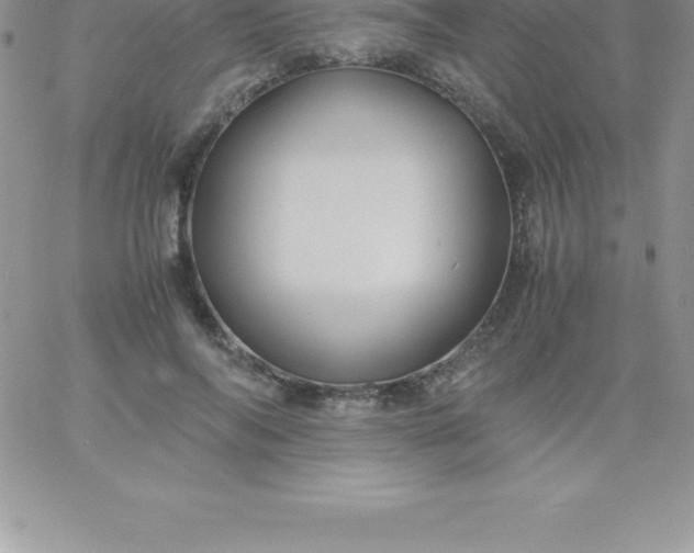 X0000060750694200511241703