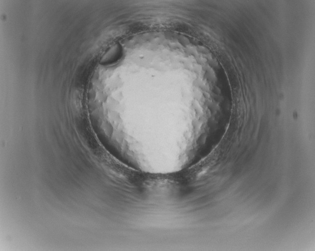 X0000060750695200511241703