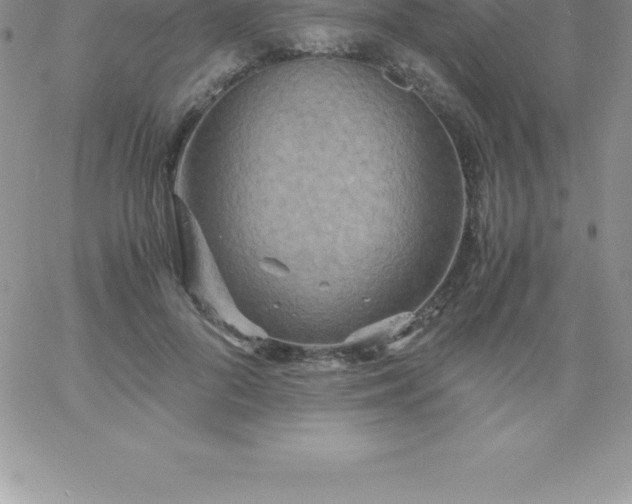 X0000060750696200511241703