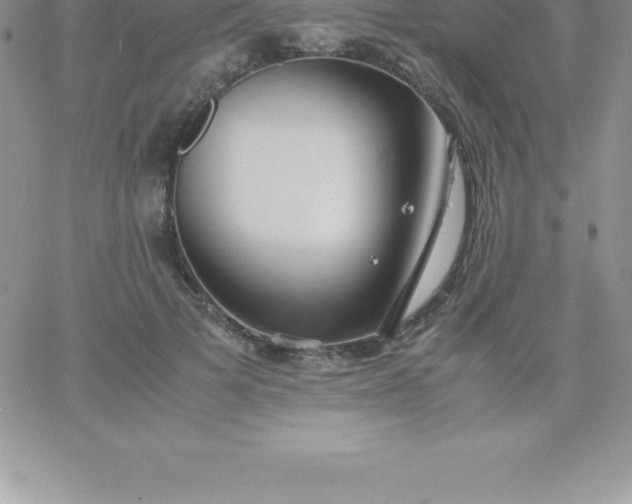 X0000060750697200511241703