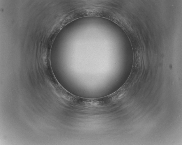 X0000060750698200511241703