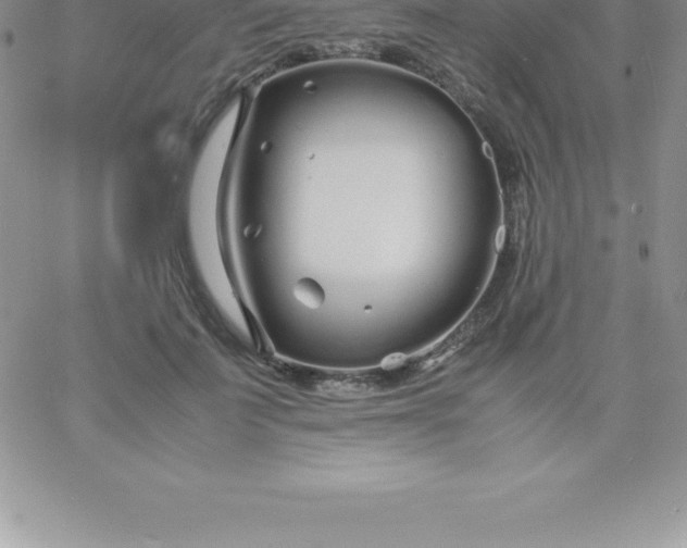 X0000060750699200511241703